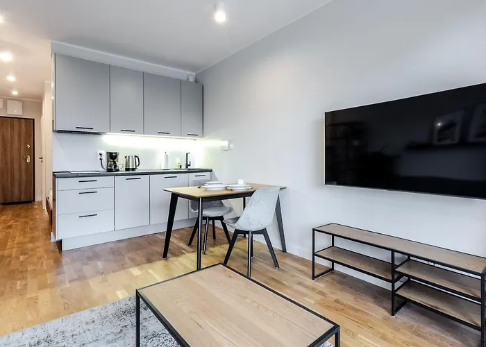 W Centrum- Wenecja Apartment *