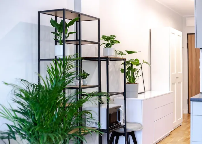 W Centrum- Wenecja Apartment *