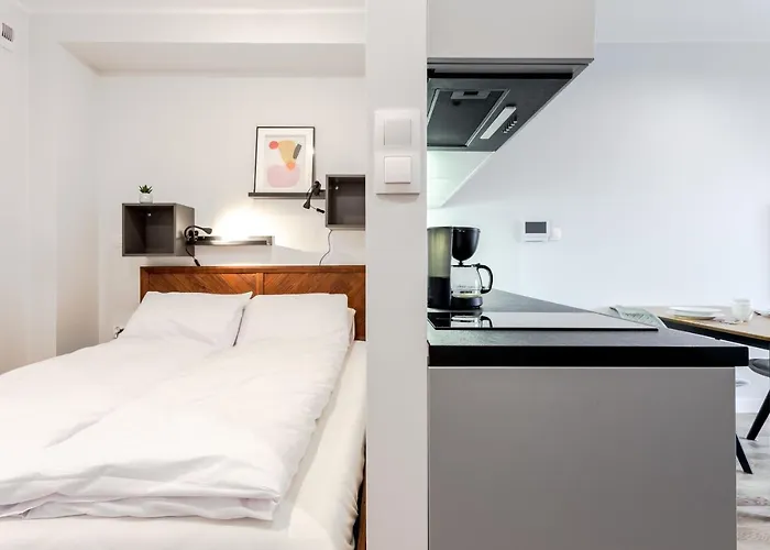 W Centrum- Wenecja Apartment *