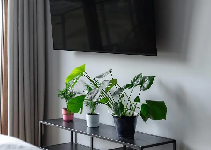 Apartment W Centrum- Wenecja *