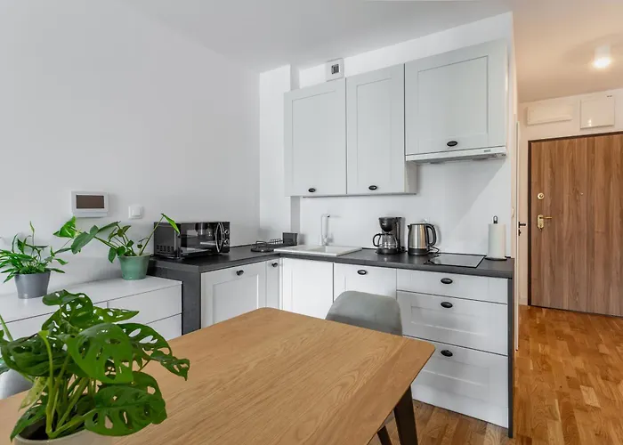 W Centrum- Wenecja Apartment *